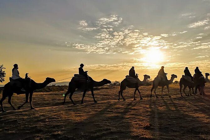 Camel Safari in Cappadocia - How the 1-hour camel ride works: pickup to fairy chimneys