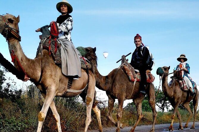 Camel Safari in Cappadocia - Camel handling and comfort: what “well trained” really means