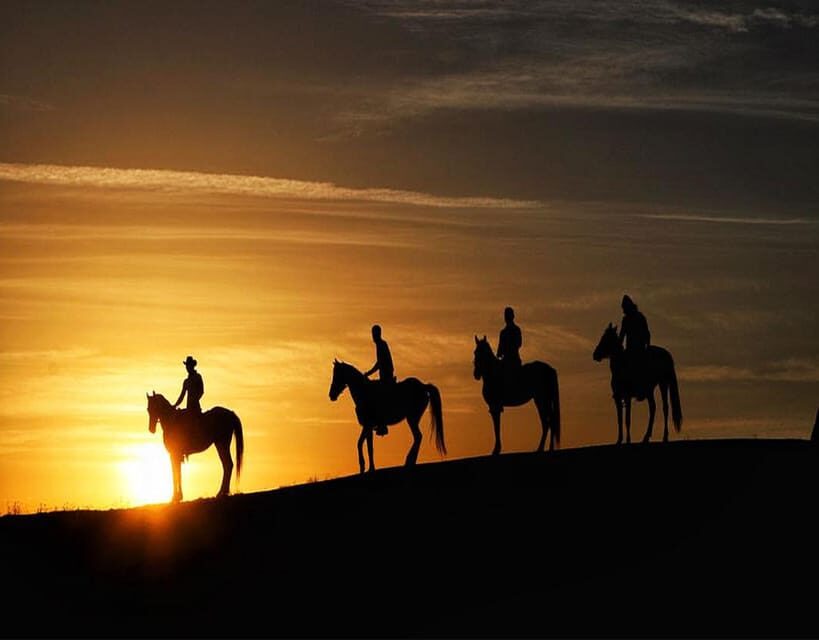 Cappadocia: Fascinating Horse Riding Tour in Unique Valleys - What you’ll actually see: valleys, fairy chimneys, and wide-open views from the saddle