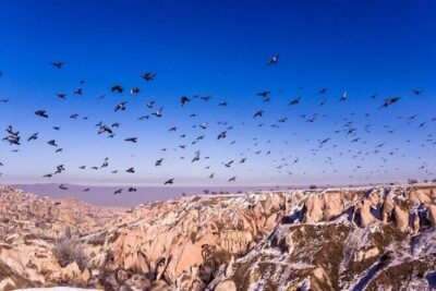 Cappadocia Green Tour - Goreme Panoramic Viewpoint: where the day’s photos start