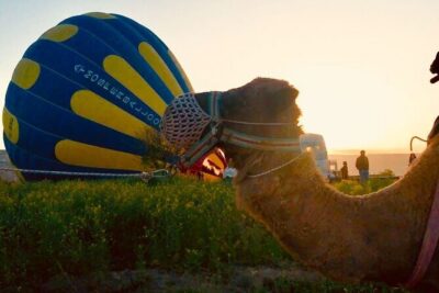 Cappadocia: Sunrise Camel Safari - The 7-Pickup Morning and How the Timing Usually Feels
