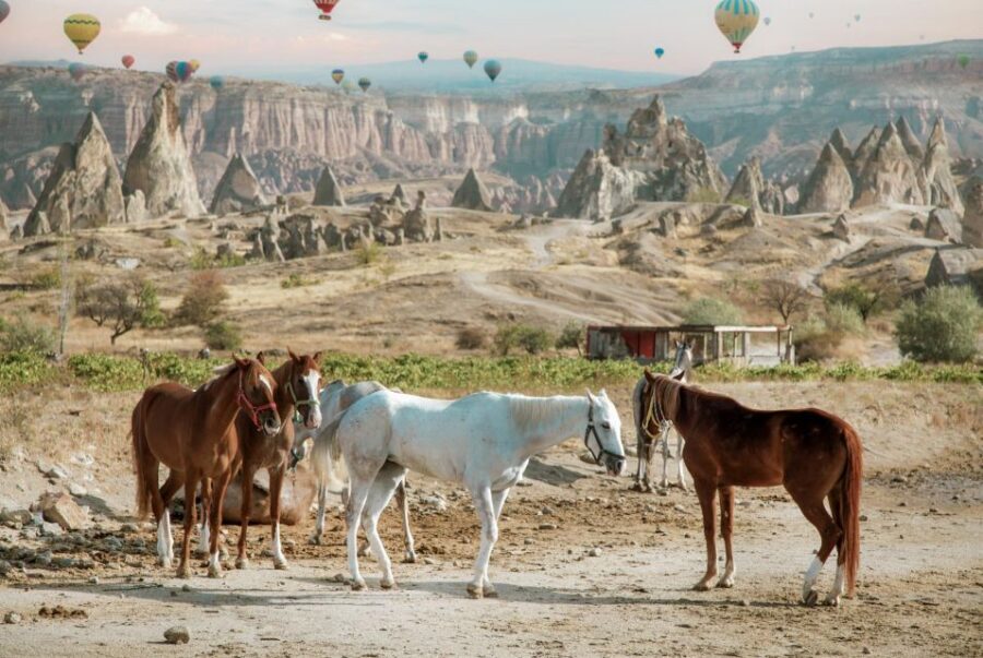 Cappadocia: Sunset Horseback-Riding Tour - Apricot Orchards and Vineyards: The Senses Beyond the Photos