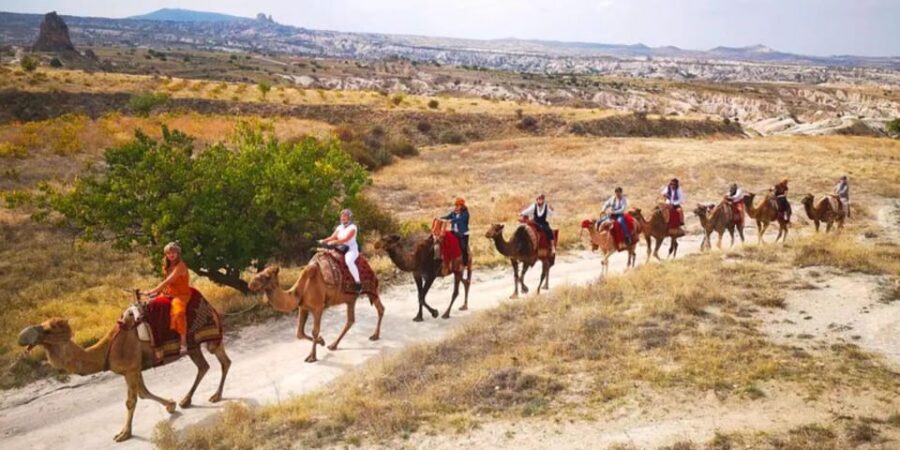 From Cappadocia: Sunrise or Sunset Camel Riding Day Trip - Riding into Pigeon Valley: how the itinerary feels on the ground