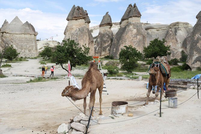 Private Cappadocia Tour w/Chimneys and Goreme Open Air Museum - Price and value: what $201.33 buys you in real terms