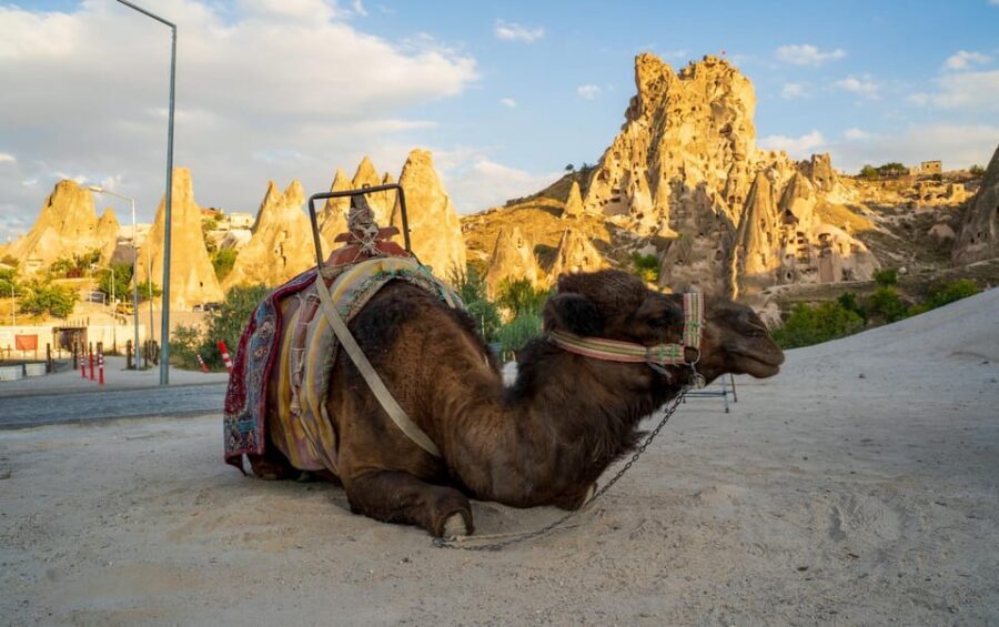 Sunrise and Sunset Camel Ride with Stunning Cappadocia Views - Included Extras That Improve Value (Not Just Convenience)